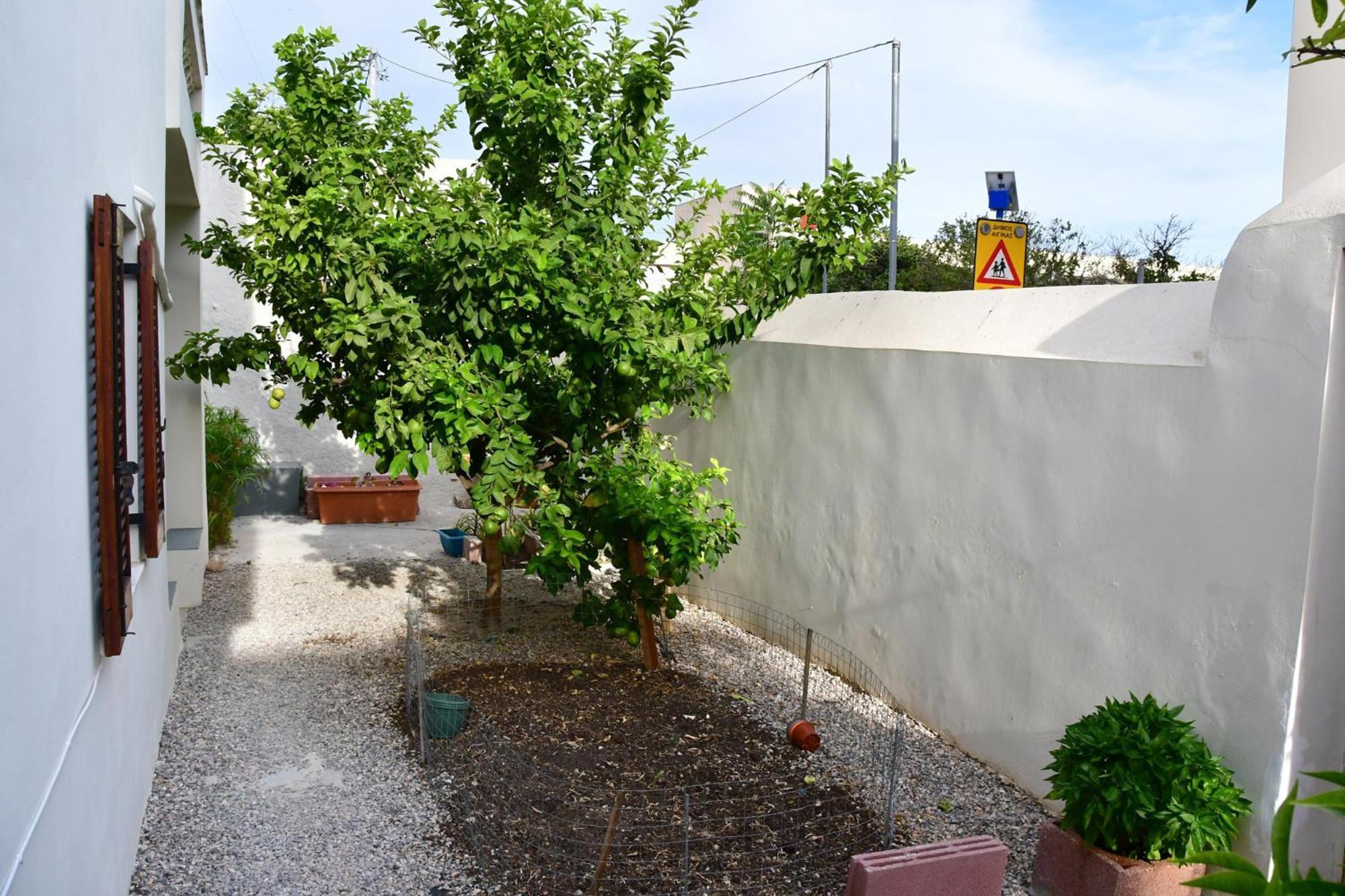 Αρχοντικό Σπίτι Στην Αίγινα Daire Dış mekan fotoğraf